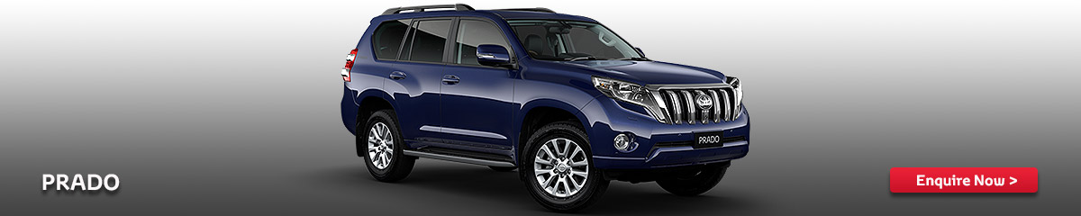 banner-2014-prado Prado